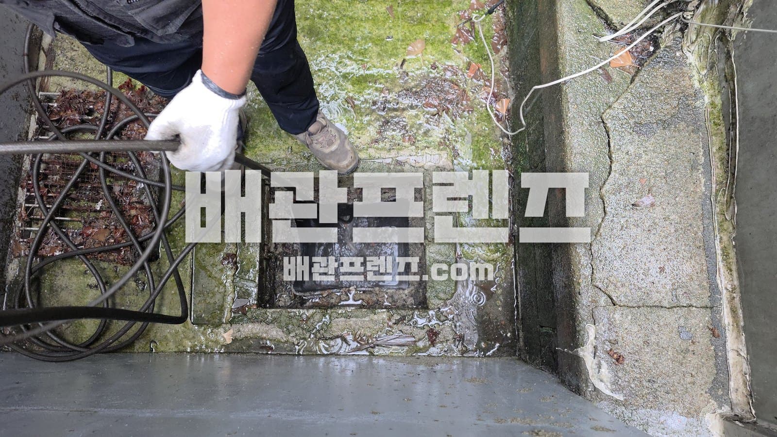 바닥 배수구에 호스를 넣고 작업하는 모습