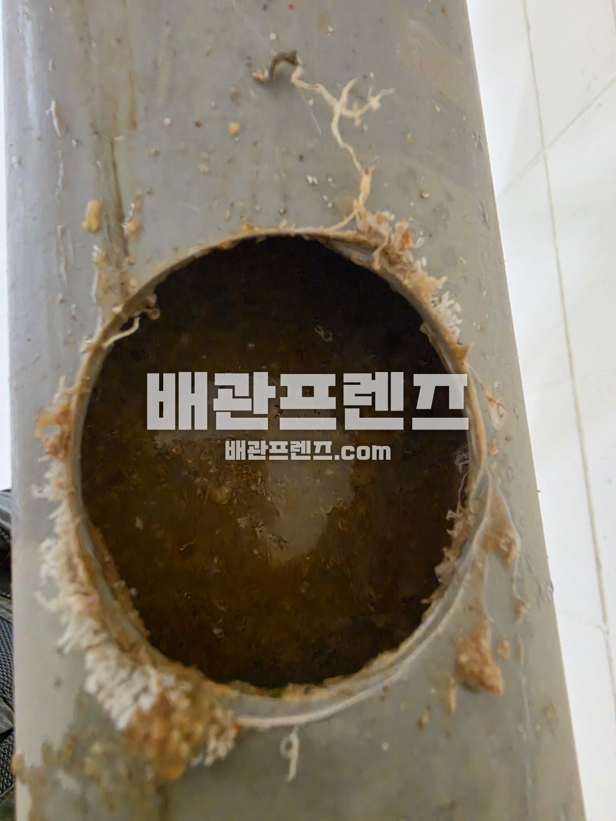 잘라 낸 배수관 속에 쌓인 찌꺼기