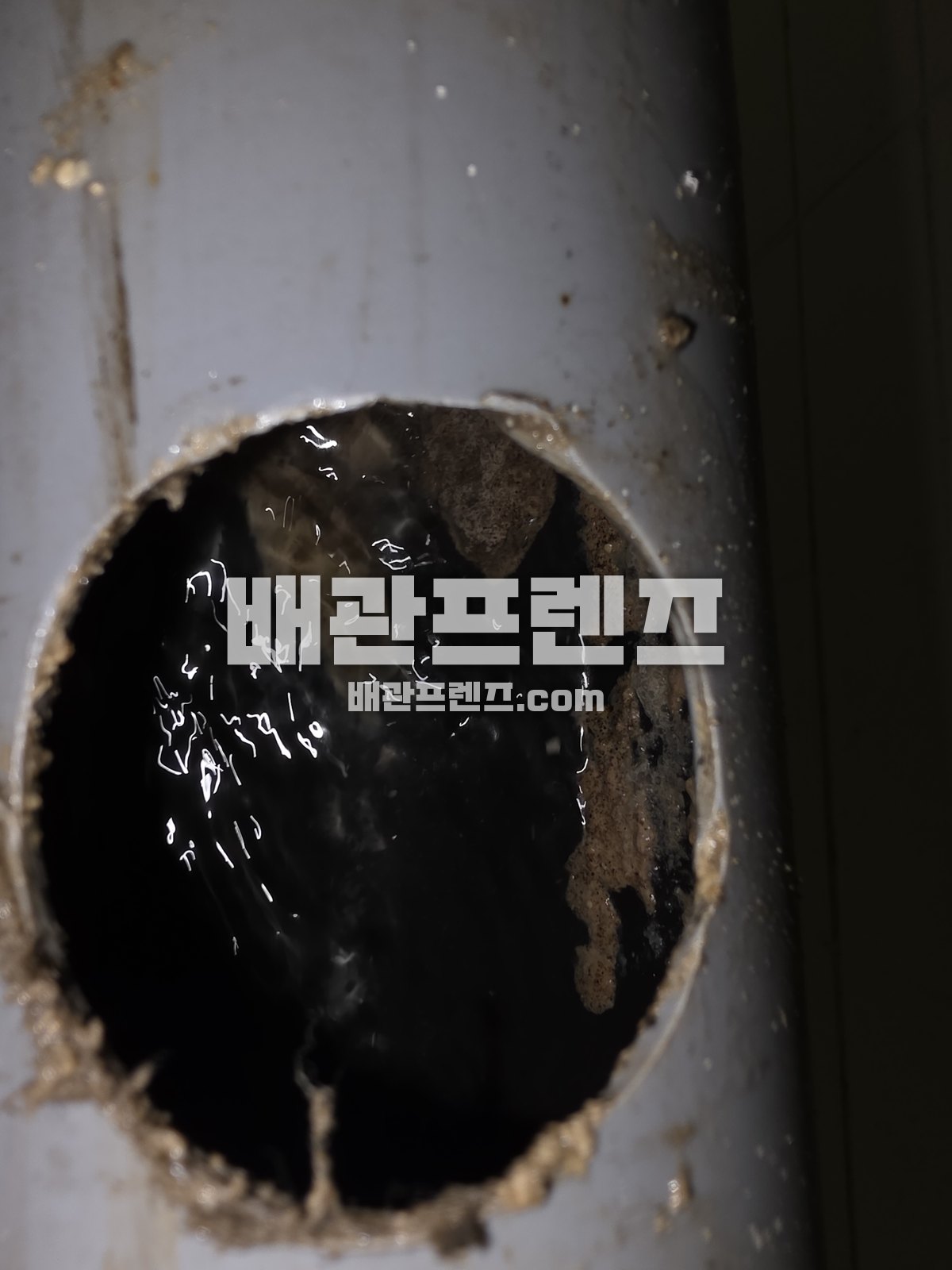 배수관 절단면 안쪽에 남은 오물