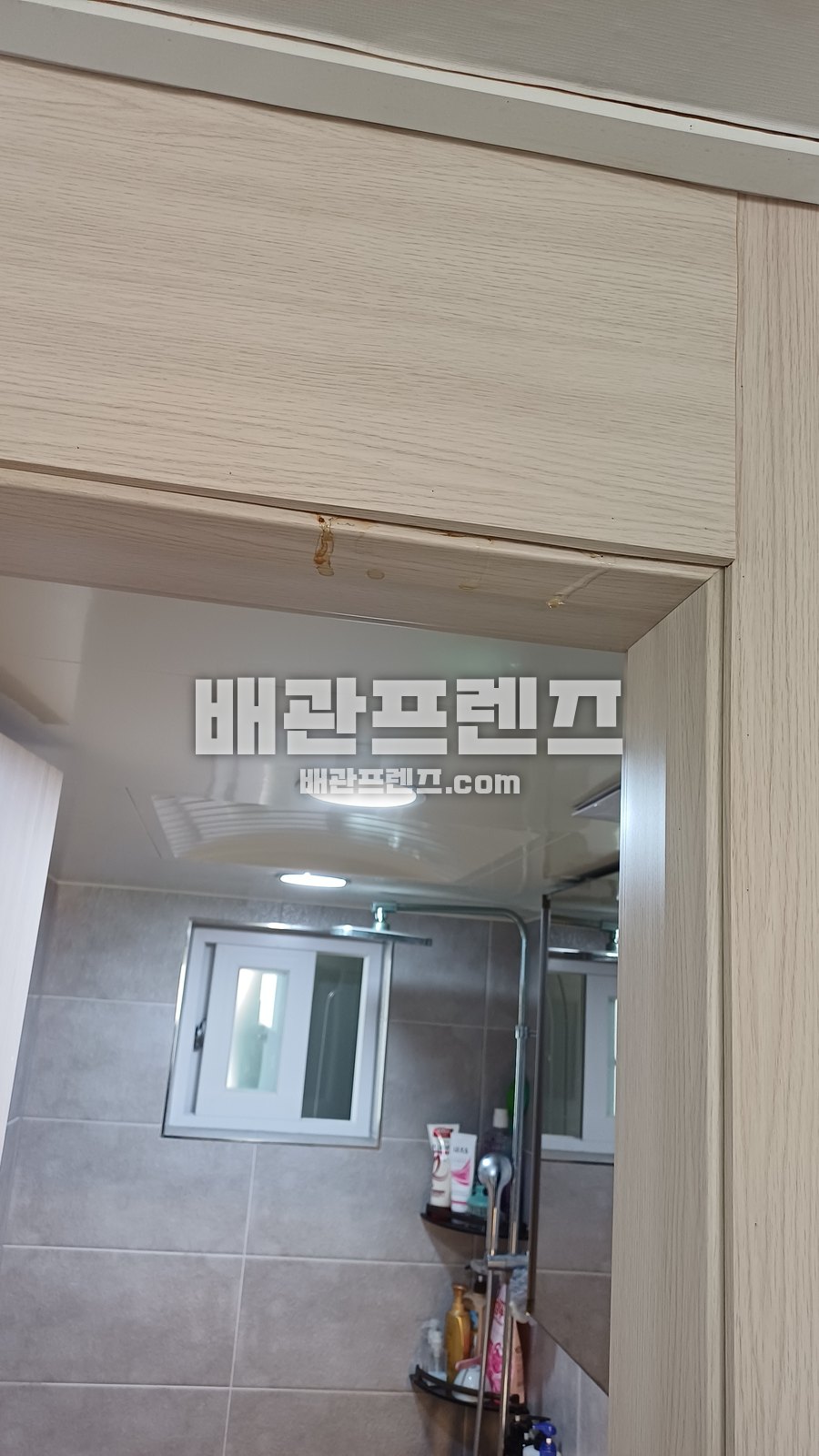 욕실 내부와 출입문