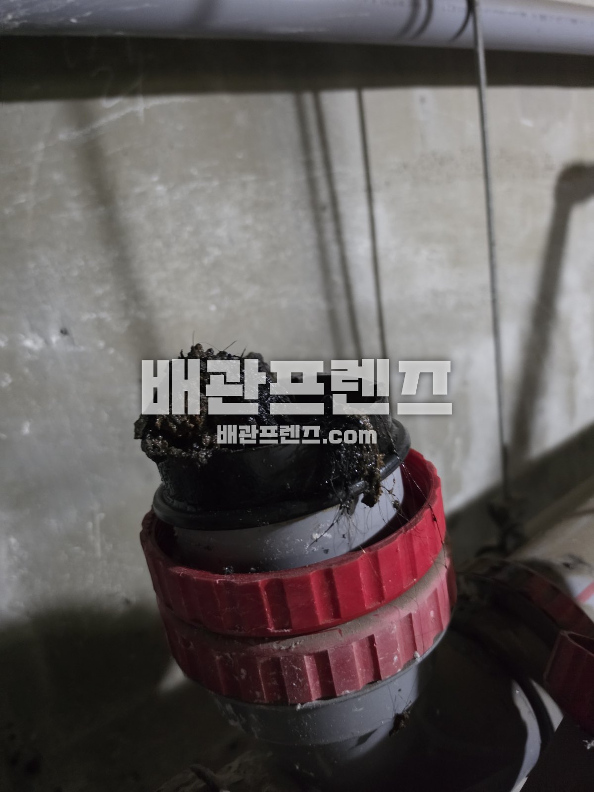 오물로 막힌 배수관 입구